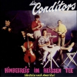 Plattencover von Himbeereis im heißen Tee