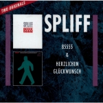 Plattencover von Herr Kennedy (Album Version)