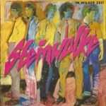 Cover von Steinwolke – Immer so sein