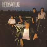 Cover von Steinwolke – Engel