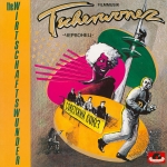 Cover von The Wirtschaftswunder – Fichi Grammophon