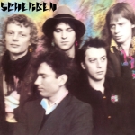 Cover von Ton Steine Scherben – Fieber